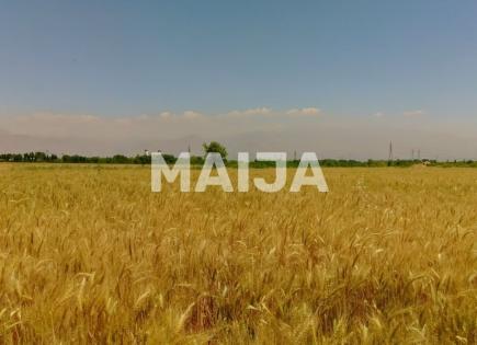 Terreno para 19 500 000 euro en Rumania