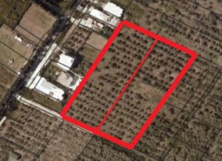 Land for 2 403 120 euro in Ulcinj, Montenegro