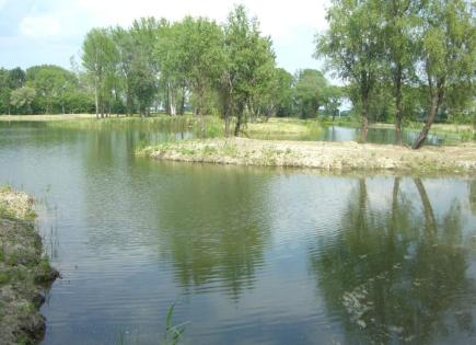 Villa for 1 500 000 euro in Hungary