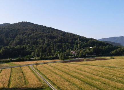 Farm für 338 000 euro in Brezovica, Slowenien