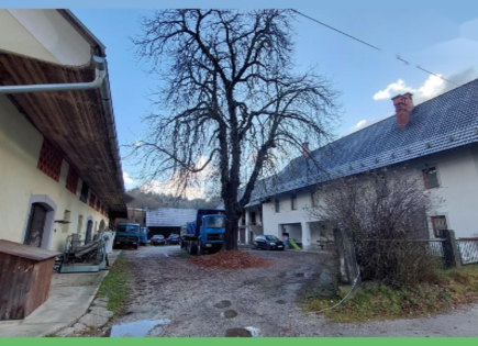Farm for 950 000 euro in Kranj, Slovenia