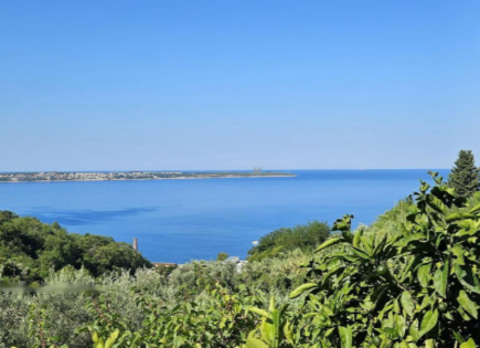 Maison pour 1 000 000 Euro à Piran, Slovénie