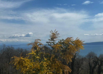 House for 1 300 000 euro in Opatija, Croatia