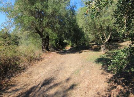 Terrain pour 200 000 Euro à Corfou, Grèce