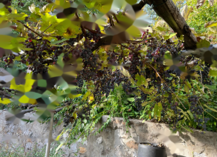 Appartamento per 590 000 euro a Lubiana, Slovenia