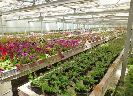 Biens commerciaux pour 500 000 Euro à Paralia, Grèce