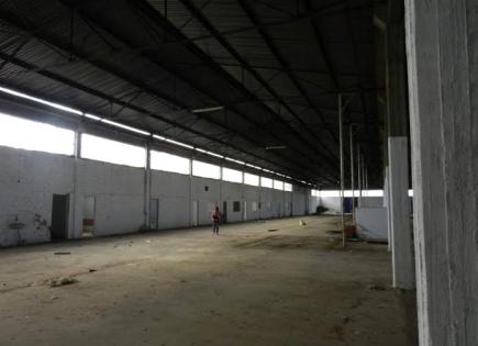 Biens commerciaux pour 130 000 Euro à Pella, Grèce