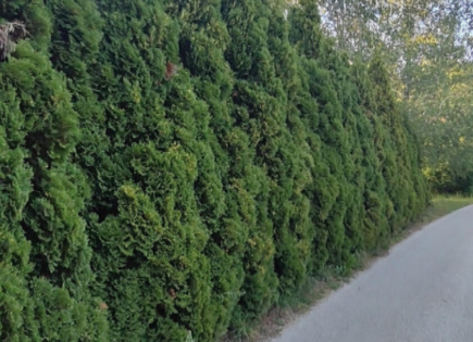 Casa per 60 000 euro a Krško, Slovenia