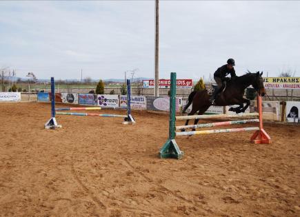 Commercial property for 1 000 000 euro in Kilkis, Greece