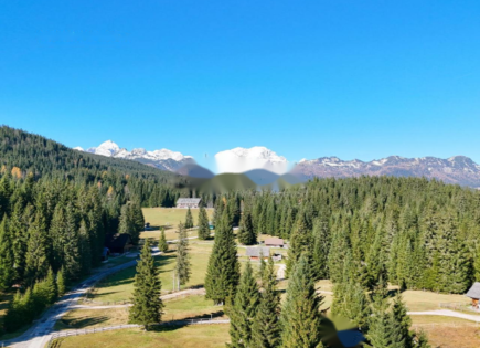 Terrain pour 980 000 Euro à Pokljuka, Slovénie