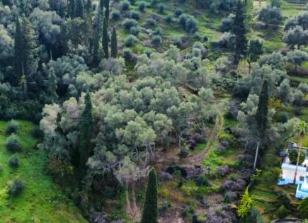 Terrain pour 330 000 Euro à Corfou, Grèce