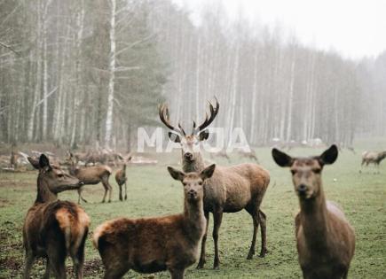 Villa para 3 200 000 euro en Jelgava, Letonia