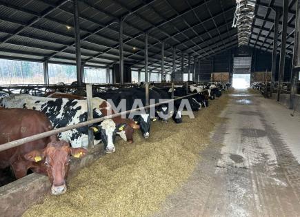 Terreno per 2 500 000 euro a Sigulda, Lettonia