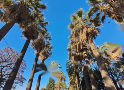 Wohnung für 685 000 euro in Cannes, Frankreich