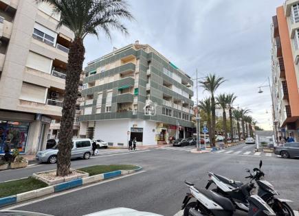 Boutique pour 1 000 Euro par mois à Torrevieja, Espagne