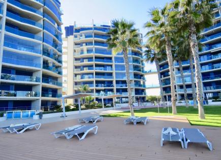 Appartamenti per 1 850 euro al mese a Punta Prima, Spagna